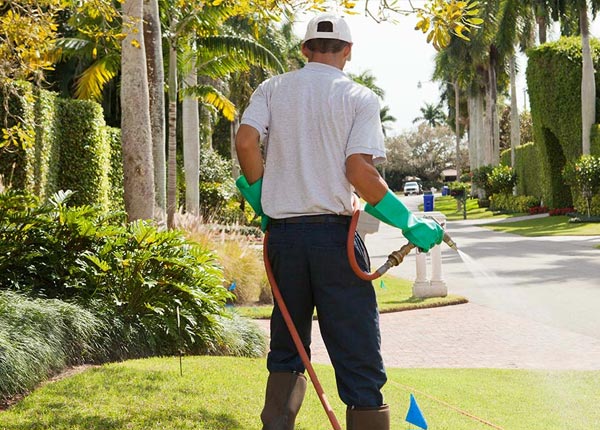 About Plainville KS Pest Control